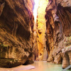 Отель Zion View Camping, фото 15