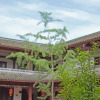 Отель Huibinlou Inn, Pingle Ancient Town, фото 10