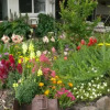 Отель Cedarview Bed & Breakfast, фото 20