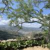 Отель Quinta Do Valdalagea, фото 14