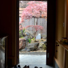 Отель Guesthouse Odori, фото 8