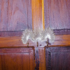 Отель Zanzibar Spice Nest Apartment, фото 18