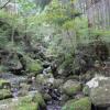 Отель Otsu Nature Garden, фото 16