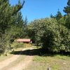 Отель Eco Cabañas Algarrobo, фото 3