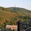 Отель Hill Valley Coorg, фото 18