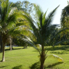 Отель Howler Monkey Resort, фото 13