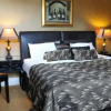 Отель Wellington Lodge Luxury Bed And Breakfast, фото 4