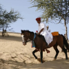 Отель The Desert Haveli Resort and Camp, фото 11