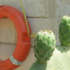 Отель Masseria Fagà, фото 21