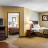 Отель Comfort Inn Mifflinville - Bloomsburg, фото 2