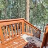 Отель Idaho Springs Cabin w/ Hot Tub on Half Acre!, фото 11