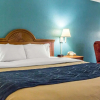Отель QUALITY INN & SUITES CIRCLEVILLE, фото 14