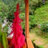 Отель Mistico Machupicchu Eco B&B в Агуас-Кальентесе