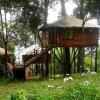 Отель 1 BHK Tree house in Pallivasal, Munnar, by GuestHouser (B46A), фото 8