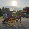 Отель Borobudur Bed & Breakfast - Hostel, фото 10