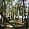Отель Ecolodge Lacandones - Selva Lacandona, фото 15