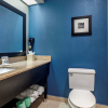 Отель Comfort Inn & Suites Mansfield, фото 41