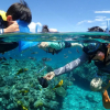 Отель Oceans Nakijin, фото 28