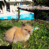 Отель Eco-Residencial Dona Francisca, фото 9