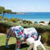 Отель Martinhal Sagres Beach Family Resort Hotel, фото 11