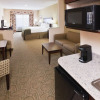 Отель Holiday Inn Express Hotel & Suites Brownfield, an IHG Hotel, фото 16