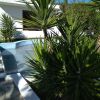Отель Skiathos Holiday House, фото 29