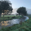 Отель Narrow Neck Creek Farmstay and B&B, фото 15