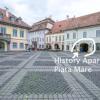 Отель History Apartment Piata Mare, фото 1