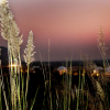 Отель Teela The Glamping Resort, фото 6