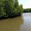 Отель The Mangroves Villa Goviyapana, фото 22