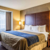 Отель Comfort Inn, фото 3