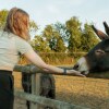 Отель Glamping in Wiltshire the Green Knoll is a Charm, фото 15