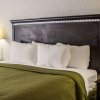 Отель Quality Inn & Suites Mansfield, фото 16