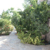 Отель Important Group Villa Citrus, фото 20