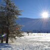 Отель Alpine hotel cedars, фото 10