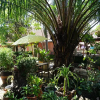 Отель Thomas Udon Thai House Resort & Hotel, фото 24