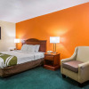 Отель Quality Inn Atlanta Northeast I-85, фото 27