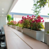 Отель Sananwan Hometel, фото 21