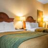 Отель Comfort Inn, фото 3