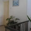 Отель Terpsithea Apartments, фото 10