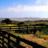 Отель Morros House Pichilemu, фото 4