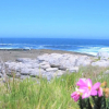 Отель Whale View Guest House, фото 5