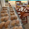 Отель Recanto do Mar Suites, фото 26