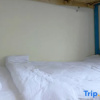 Отель Amazon hostel, фото 5