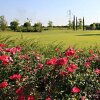 Отель Country House Letizia, фото 6