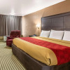 Отель Econo Lodge, фото 5