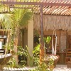 Отель Coco-Knots Hostel, B&B- Ilha do Guajiru, фото 5