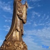 Отель Camino B&B, фото 14