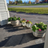 Отель Americas Best Value Inn Kalispell, фото 16