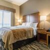 Отель Comfort Inn & Suites Edmonton International Airport, фото 44